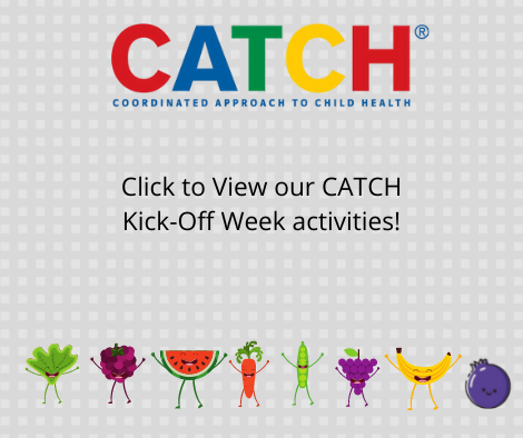 CATCH kickoff activities image link